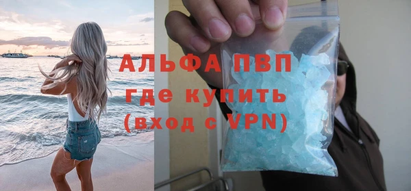 индика Аркадак