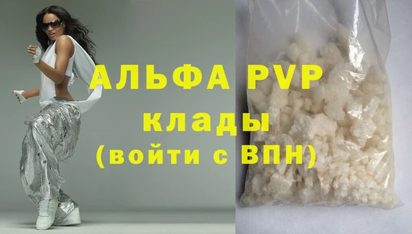 индика Аркадак