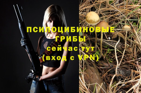 индика Аркадак