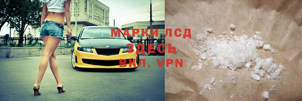 индика Аркадак