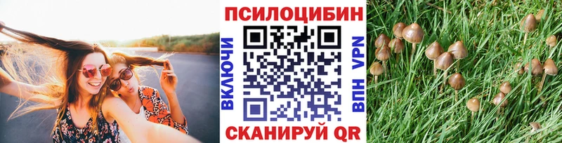 Псилоцибиновые грибы MAGIC MUSHROOMS  Узловая 